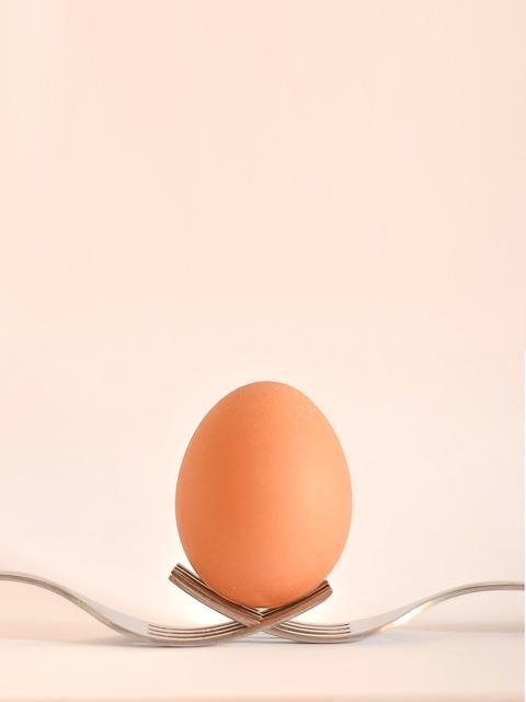 Jakým způsobem pečovat o holubí vejce?